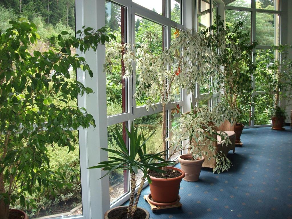 Hotel Am Wald -Garni- Elgersburg Экстерьер фото