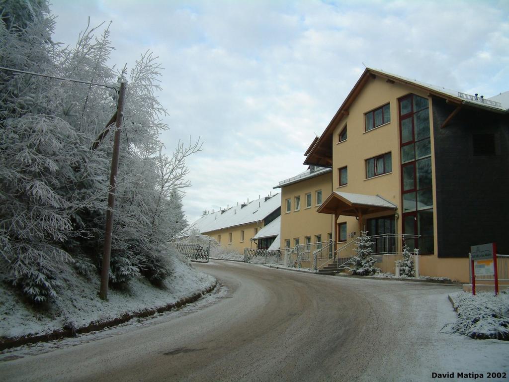 Hotel Am Wald -Garni- Elgersburg Экстерьер фото